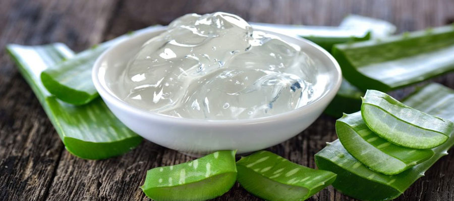 Aloe vera