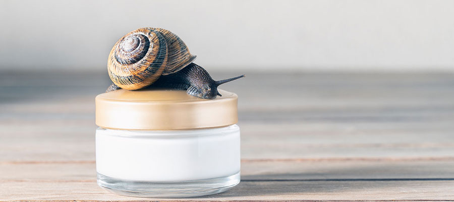 Crème à base de bave d'escargot